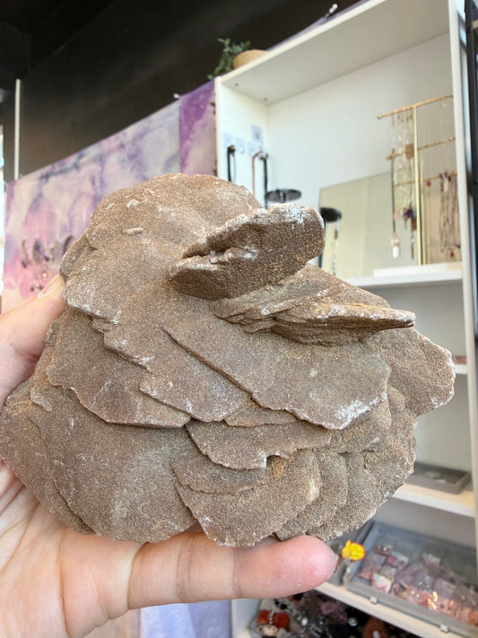 Ørkenrose (Desert Rose)