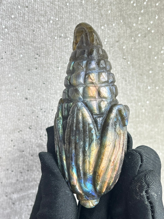 Labradoritt Maiskolbe