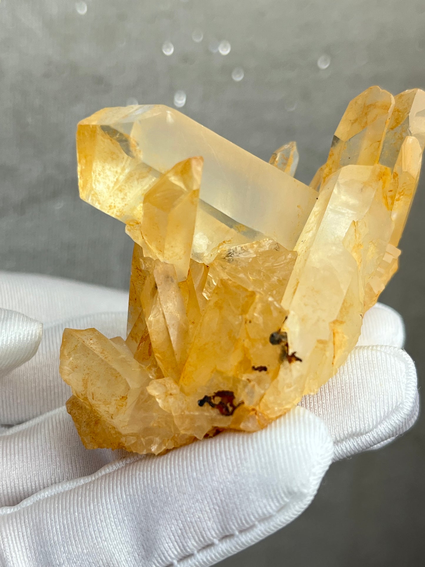 Kvarts med Limonitt gruppe