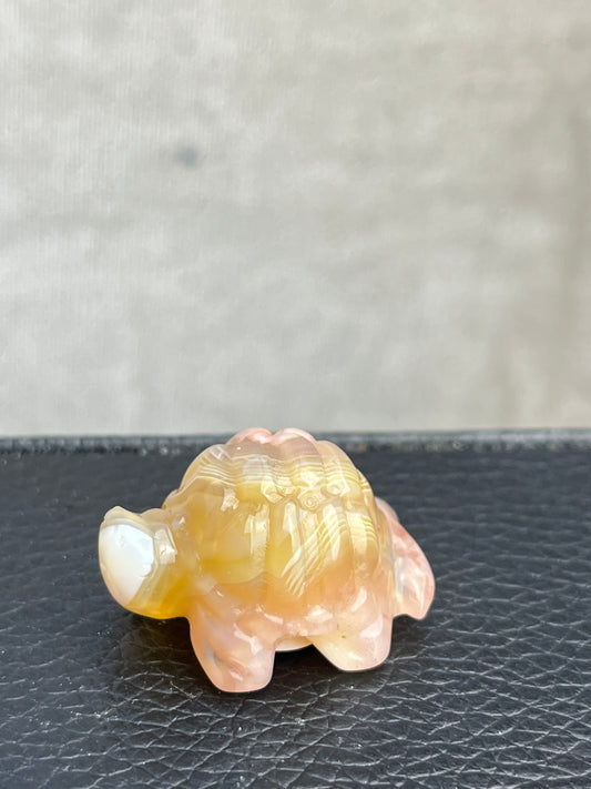 Blomster Agat Skilpadde