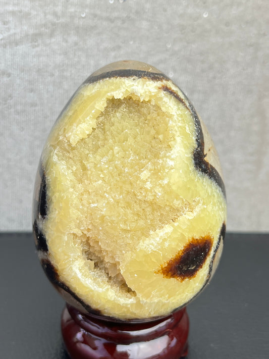 Druzy Septarian Egg