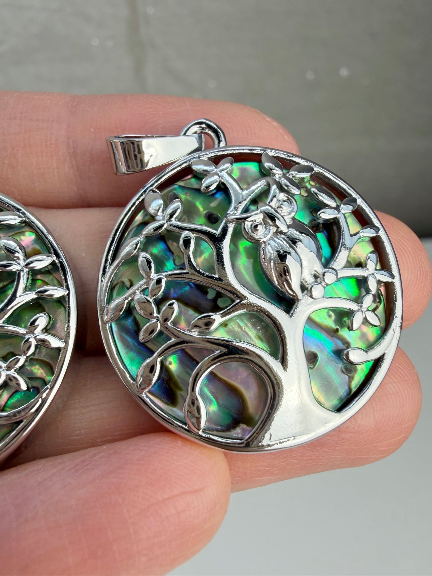 Abalone Anheng