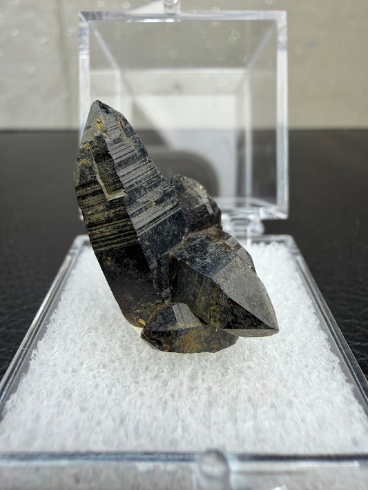 Morion (Mørk Røykkvarts)med boks, Namibia