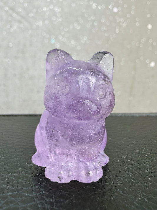 Ametyst Katt