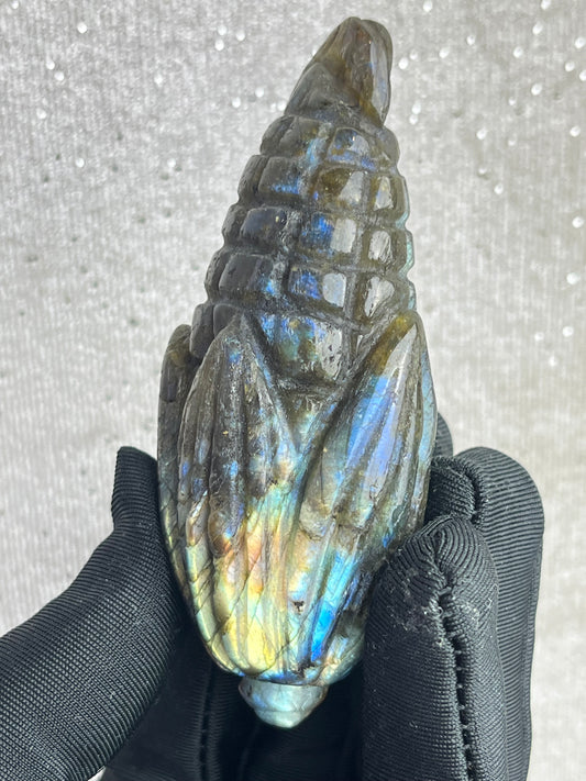 Labradoritt Maiskolbe