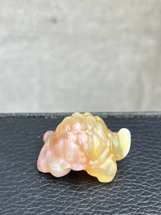 Blomster Agat Skilpadde