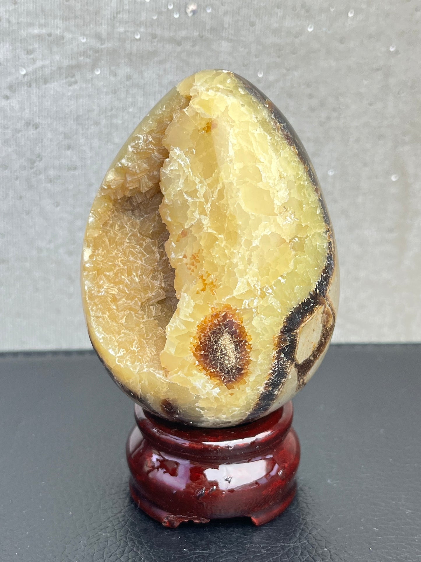 Druzy Septarian Egg
