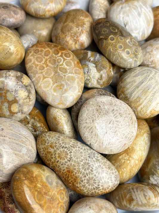 Agatisert korall tromlet 25-40mm