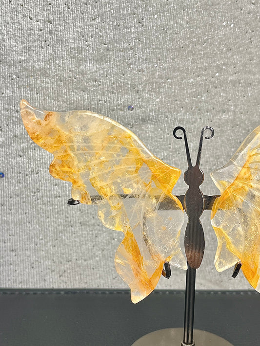 Golden healer kvarts Vinger (med stand)