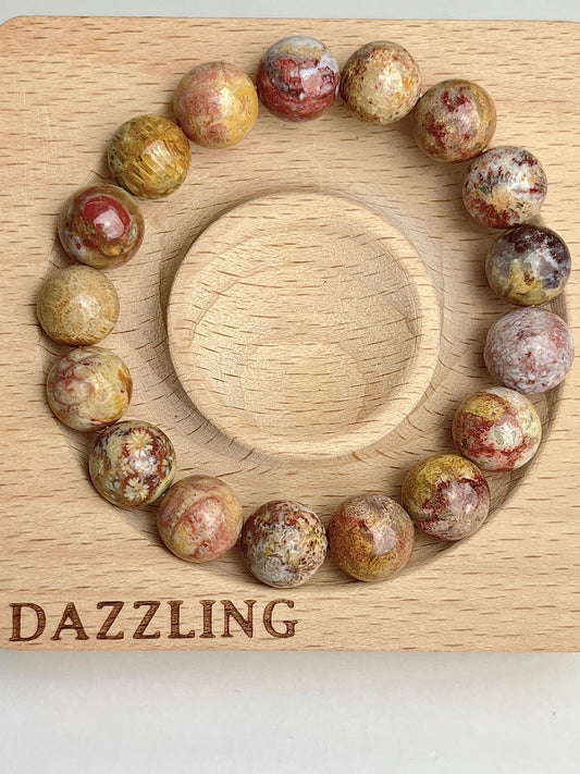 Agatisert Korall armbånd 12mm+