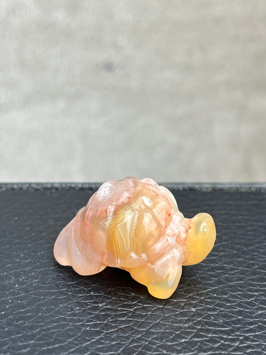 Blomster Agat Skilpadde