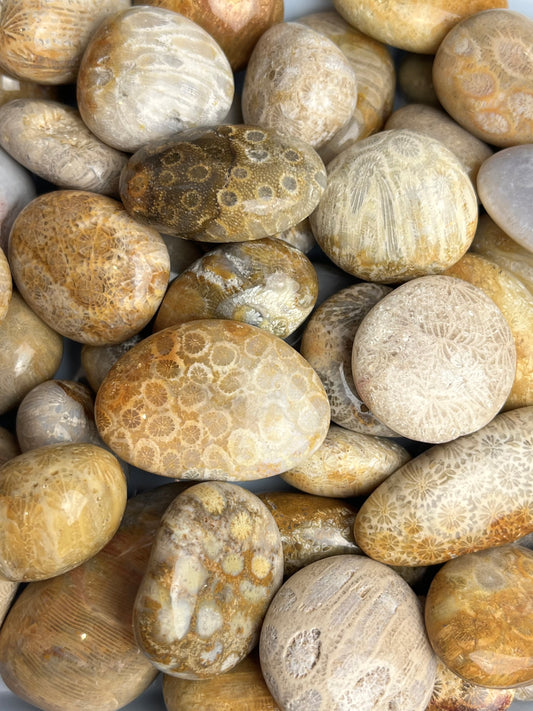 Agatisert korall tromlet 25-40mm