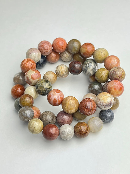 Agatisert Korall armbånd 11-12mm+