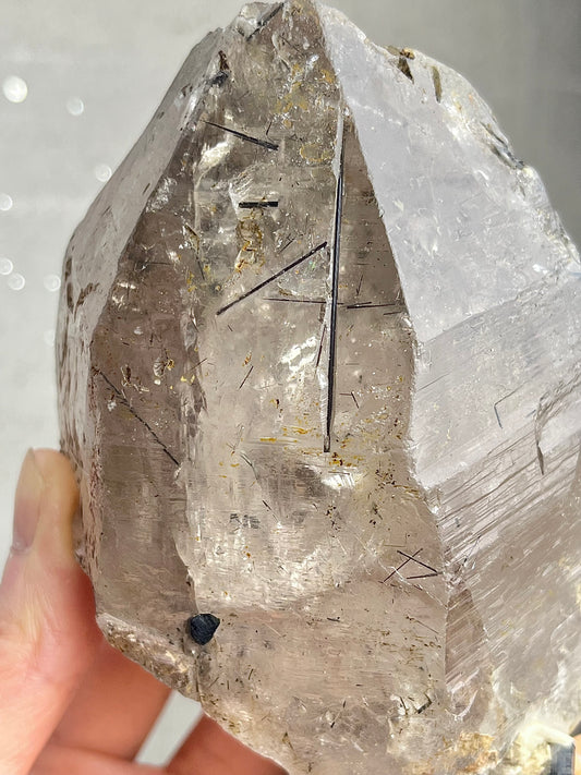 Røykkvarts (skeletal/elestial) med svart turmalin