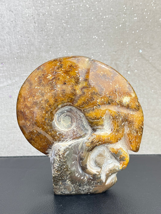 Håndskåret ammonitt
XL 13cm