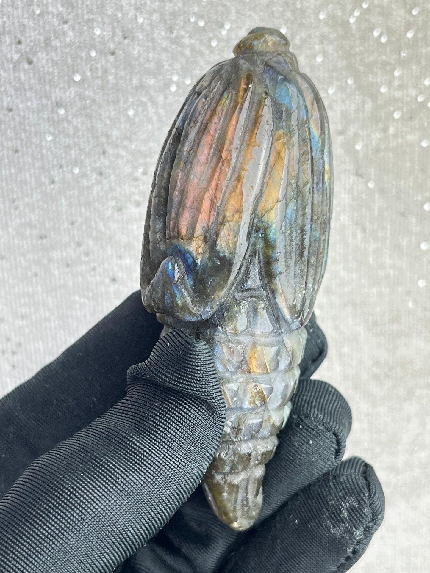 Labradoritt Maiskolbe