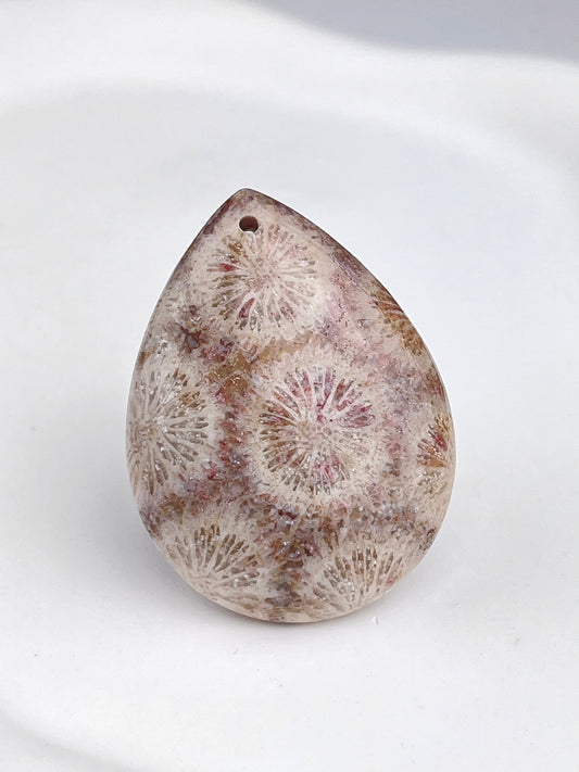 Agatisert Korall Anheng