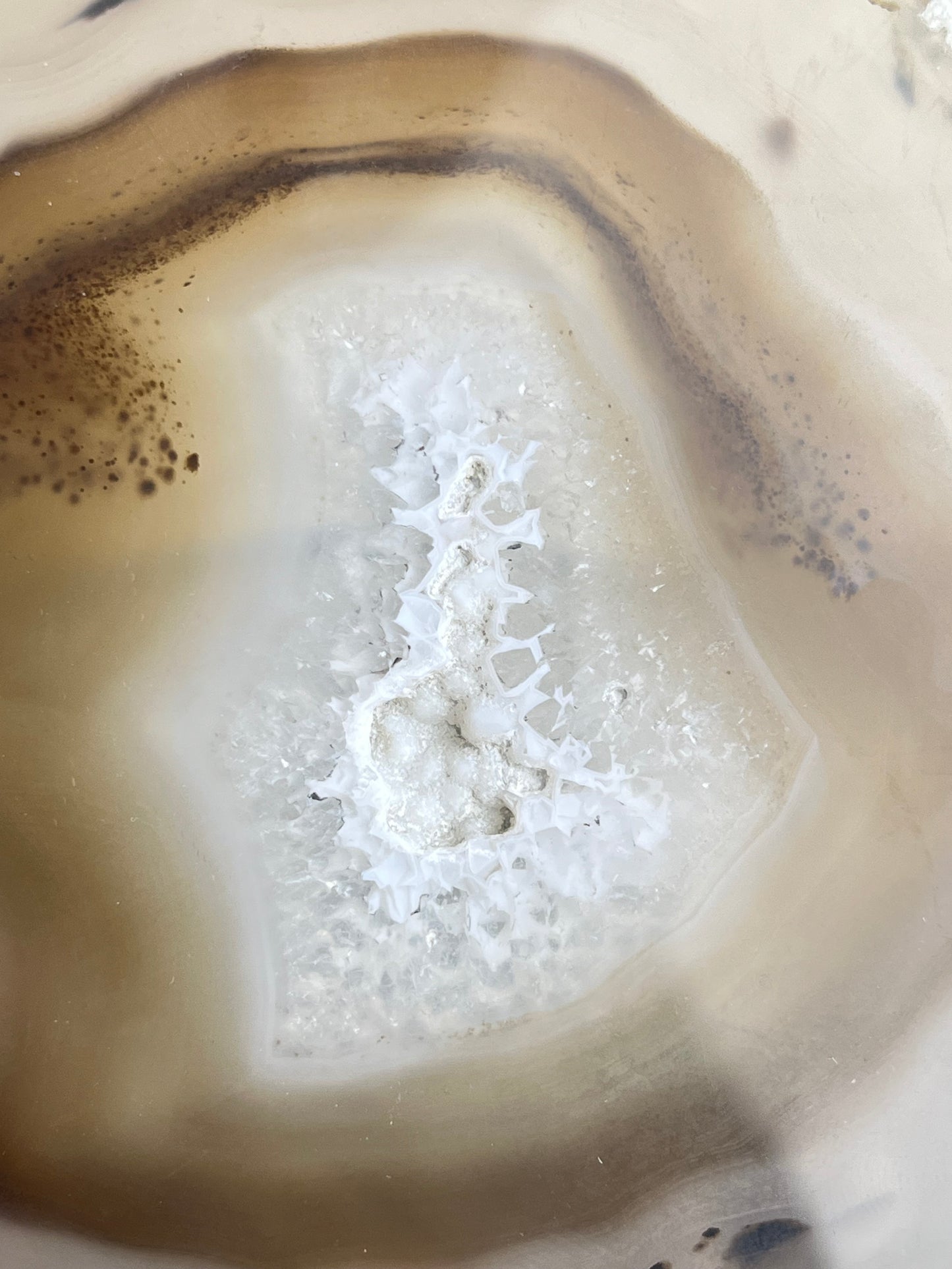 Dendritic Agat skive