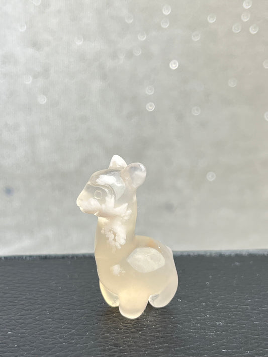 Blomster Agat Alpaca