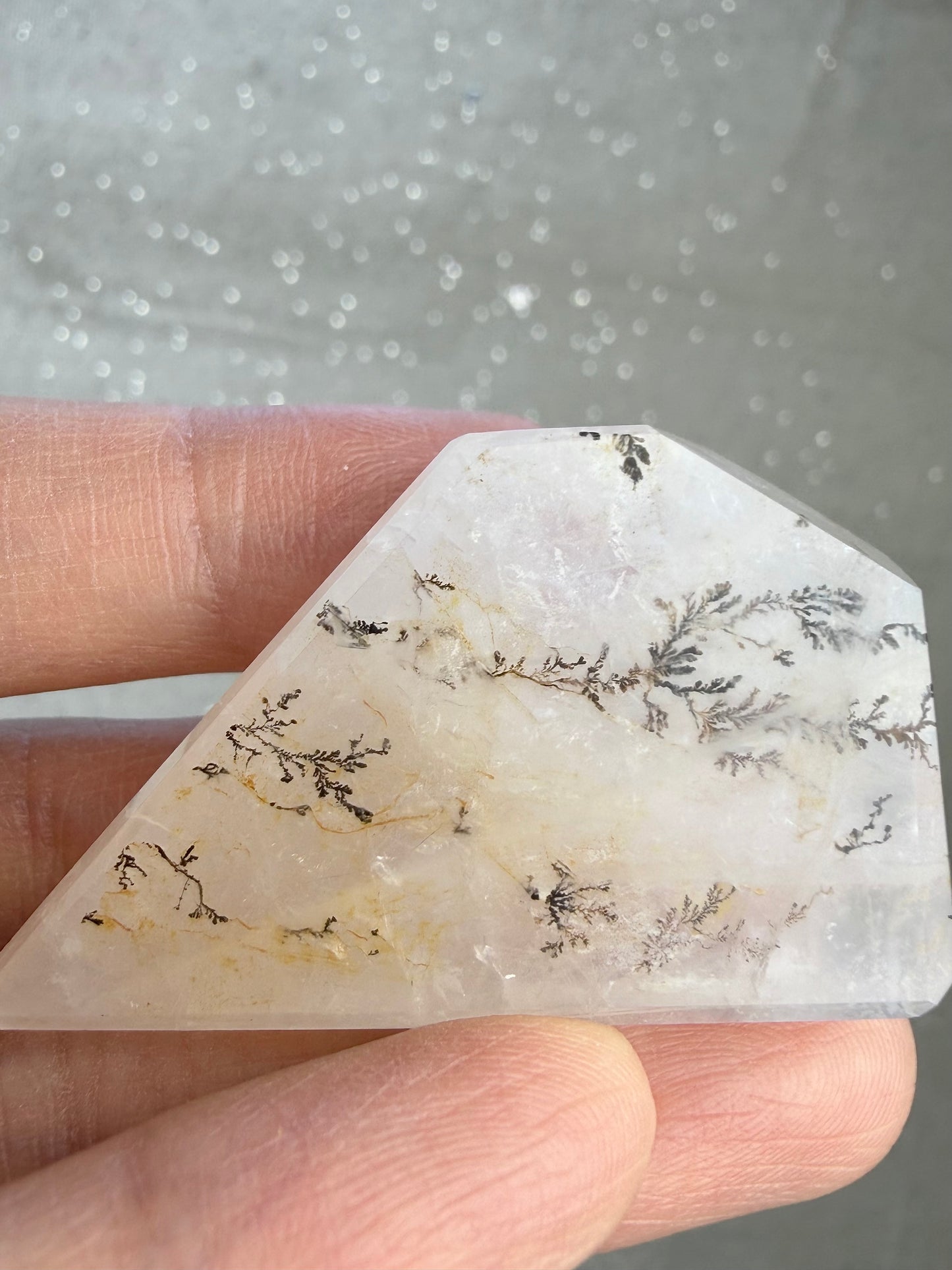 Dendritic kvarts fri form