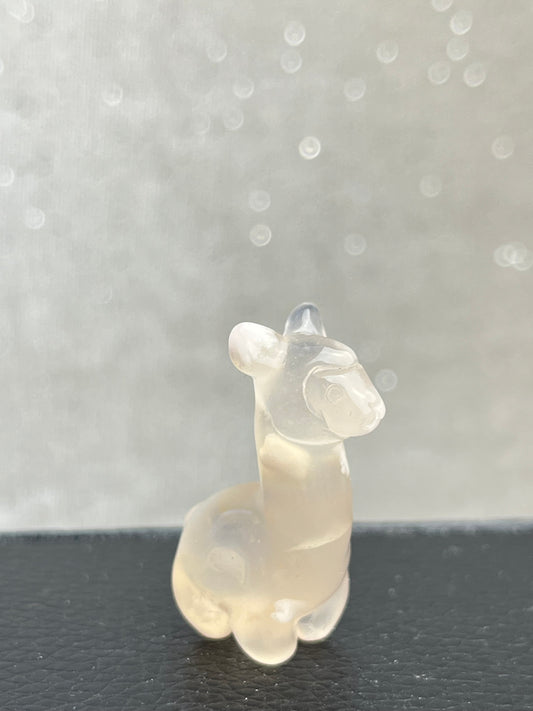 Blomster Agat Alpaca