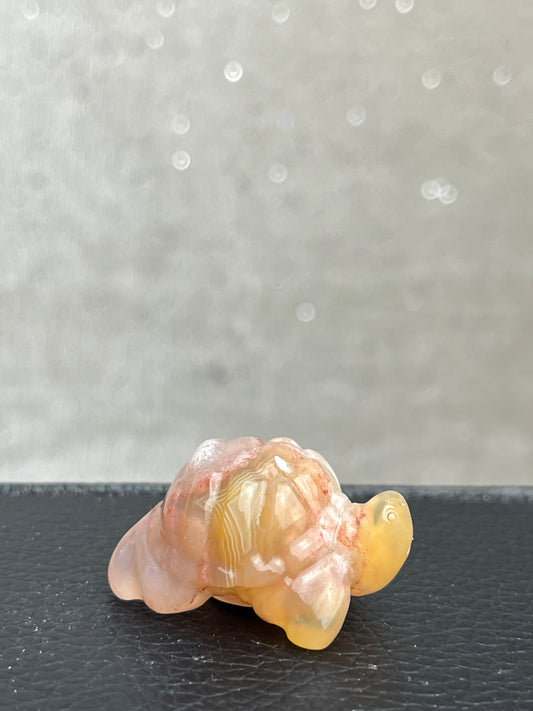 Blomster Agat Skilpadde