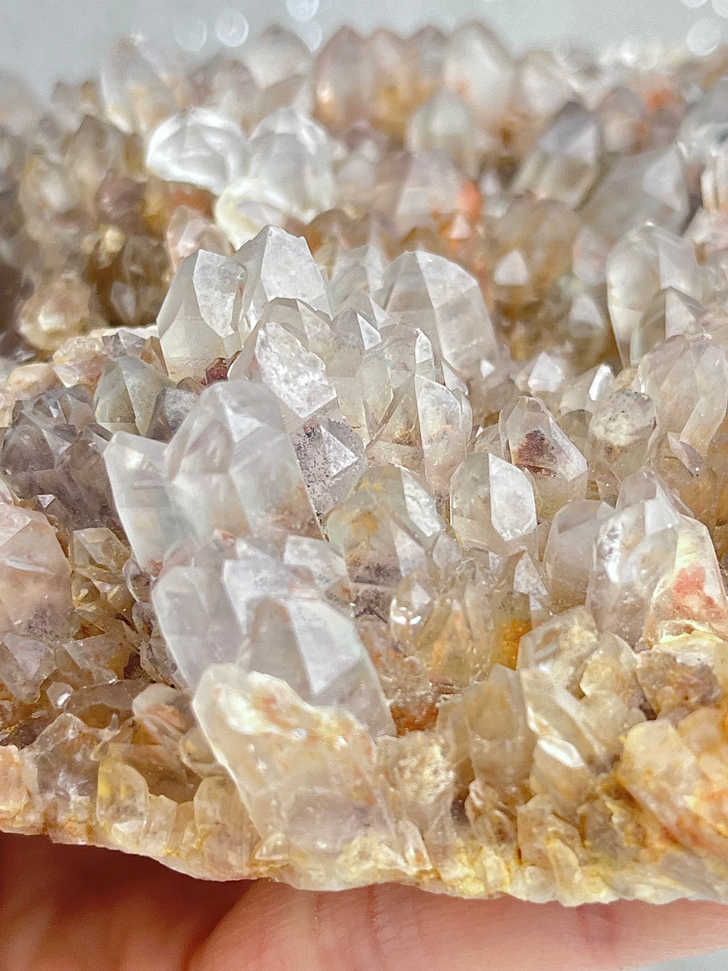 Kvarts gruppe med kloritt, hematitt og jernoksid