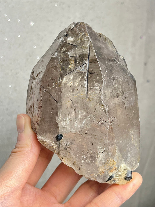 Røykkvarts (skeletal/elestial) med svart turmalin