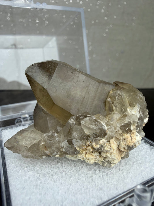 Røykkvarts med svart turmalin med boks, Namibia