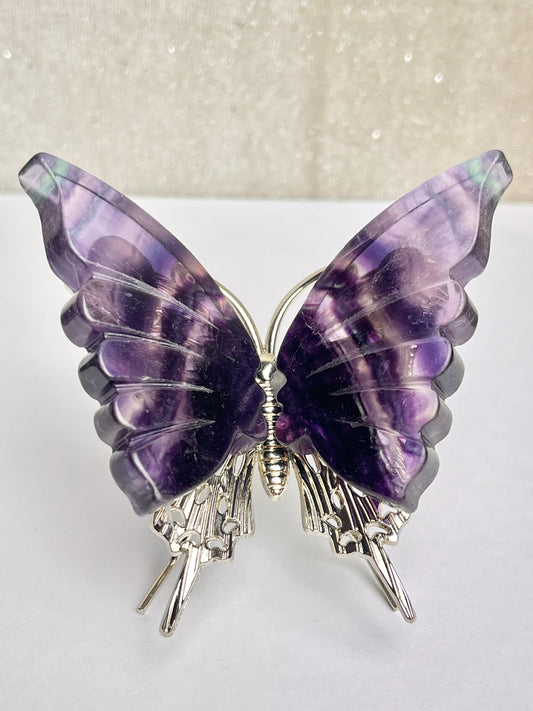 Regnbue Fluoritt Sommerfugl