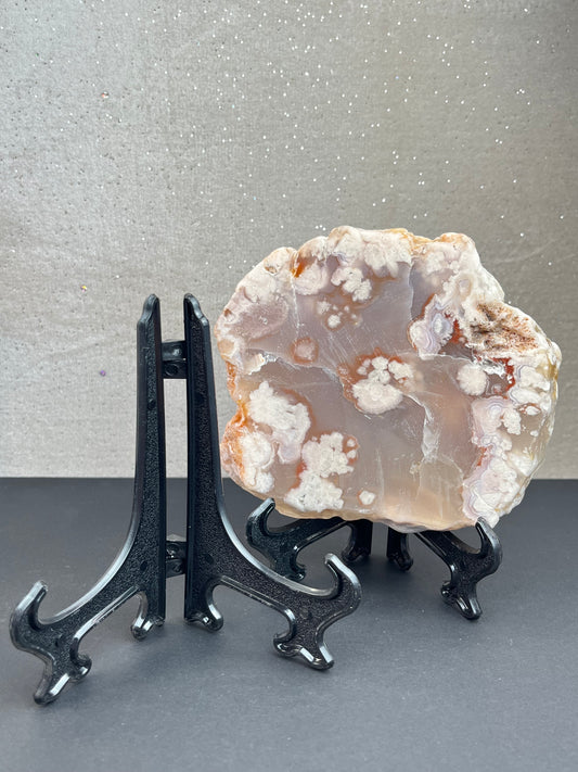 Holder for eksemplar/skive (L)