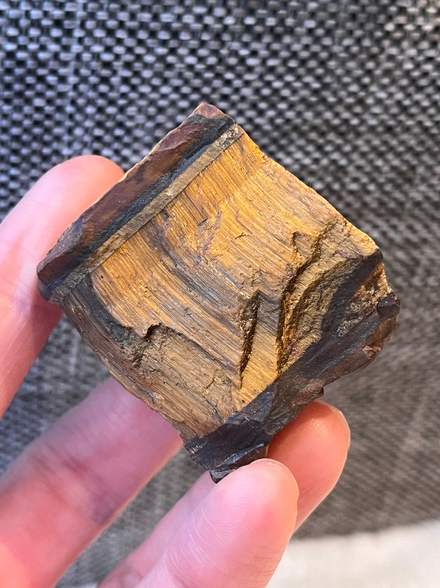 Tigerøye, Rå 34-60g