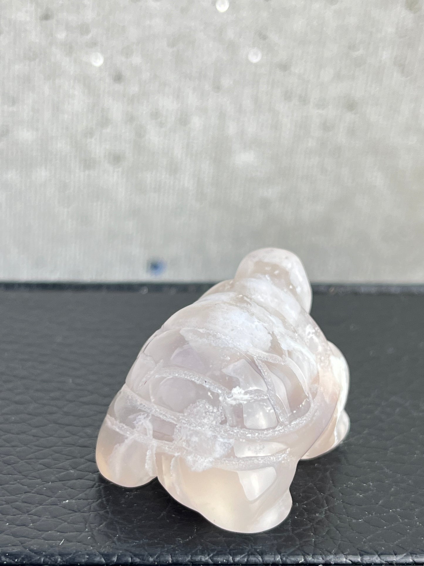 Blomster Agat skilpadde