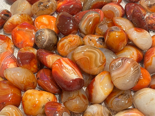 Bånd Agat Tromlet XL 4-6cm