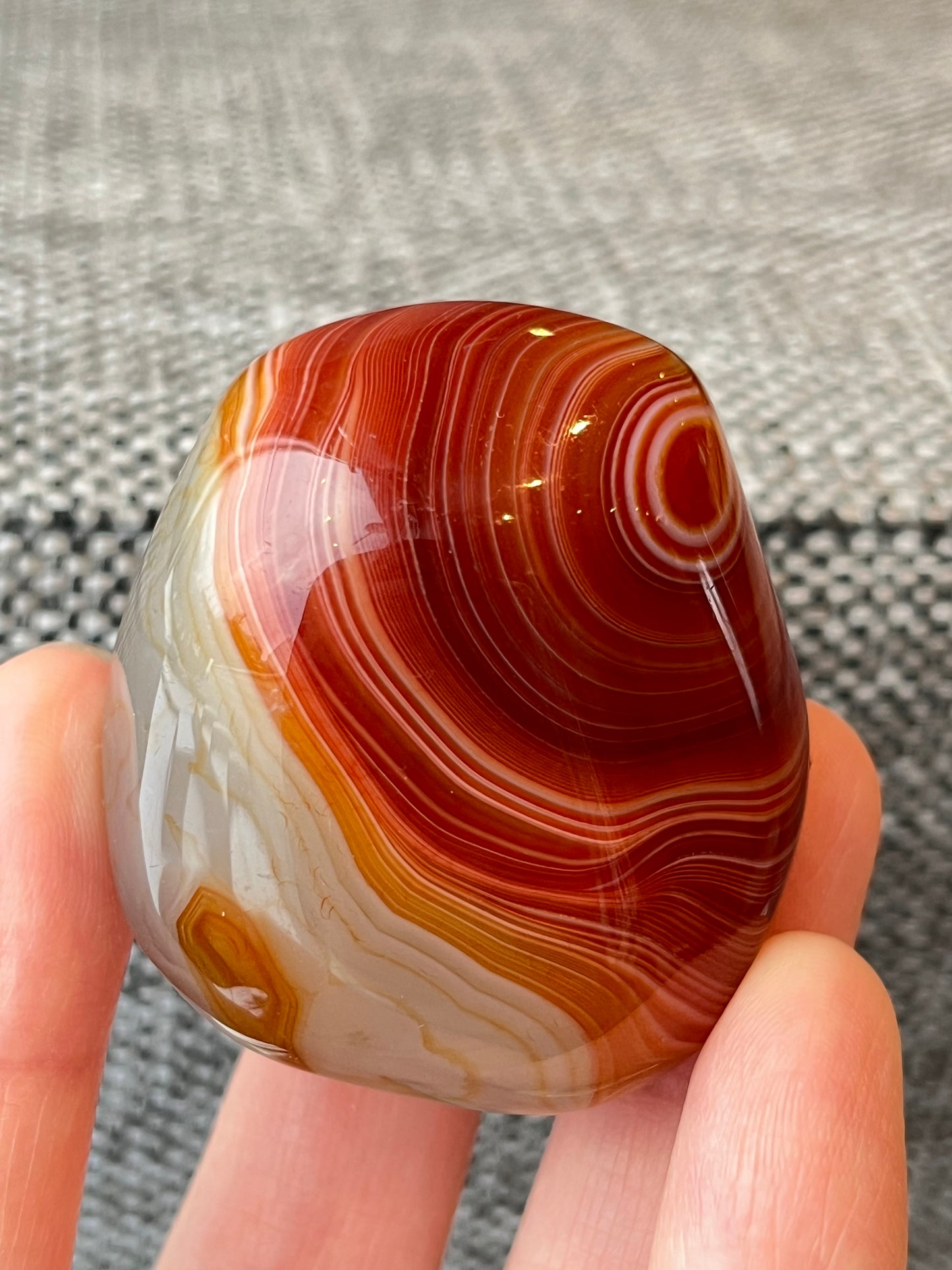 Bånd Agat Tromlet XL 4-6cm