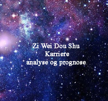 Zi Wei Dou Shu: Karriere analyse og prognose