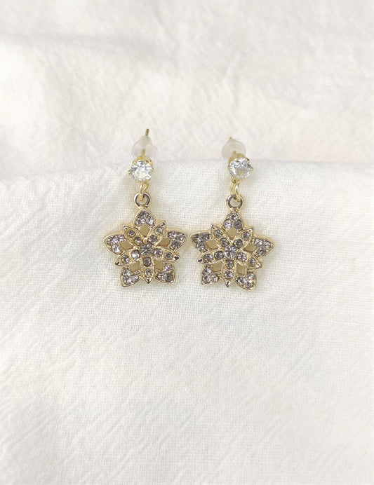 Stjerne øredobber med zirkonia