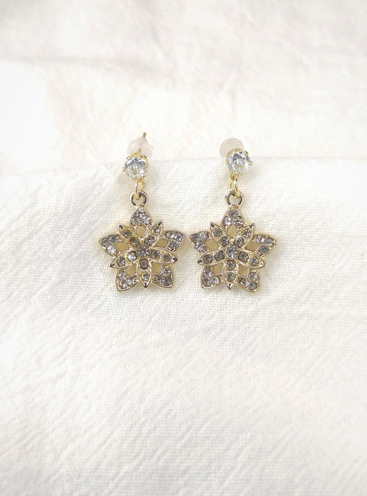 Stjerne øredobber med zirkonia