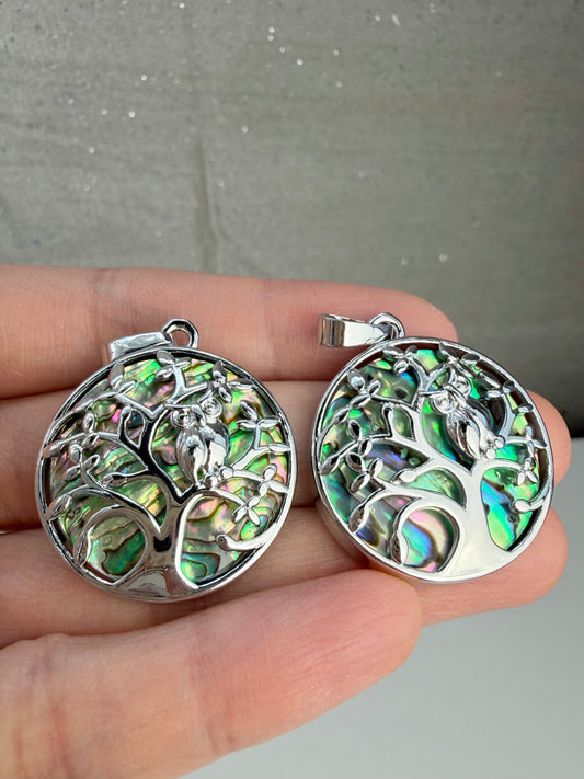 Abalone Anheng