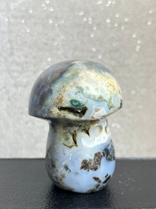 Jaspis(Cosmic jaspis) Sopp