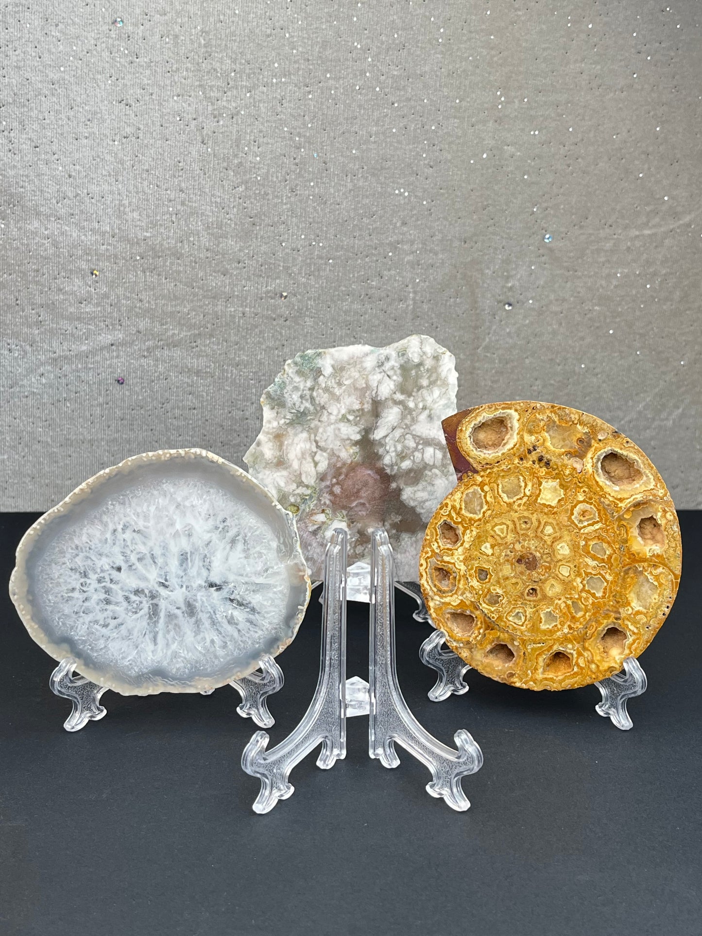 Holder for eksemplar/skive (S)