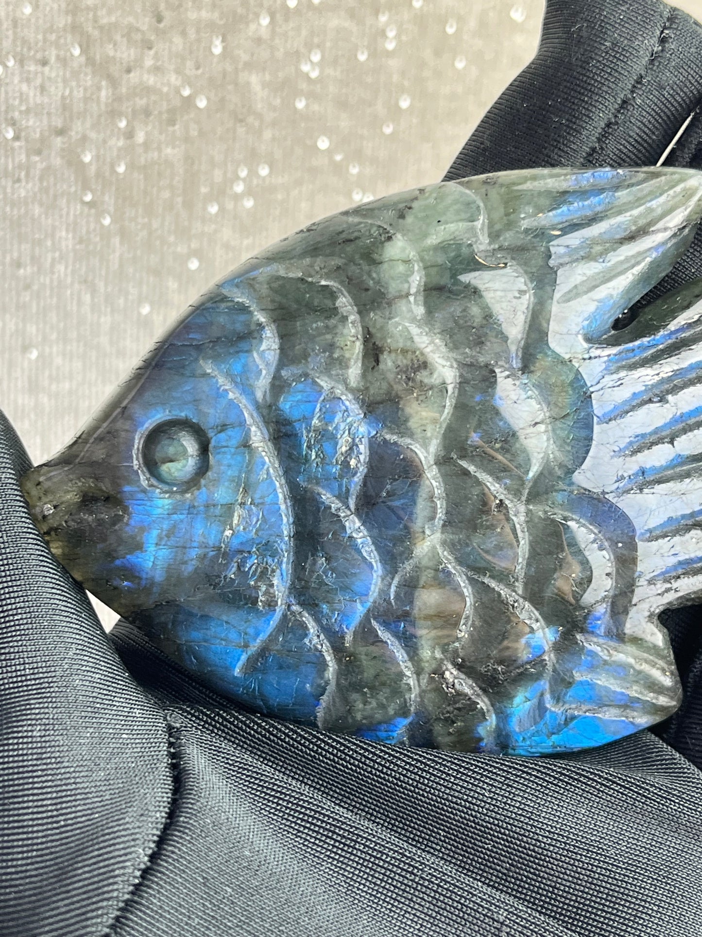 Labradoritt Fisk