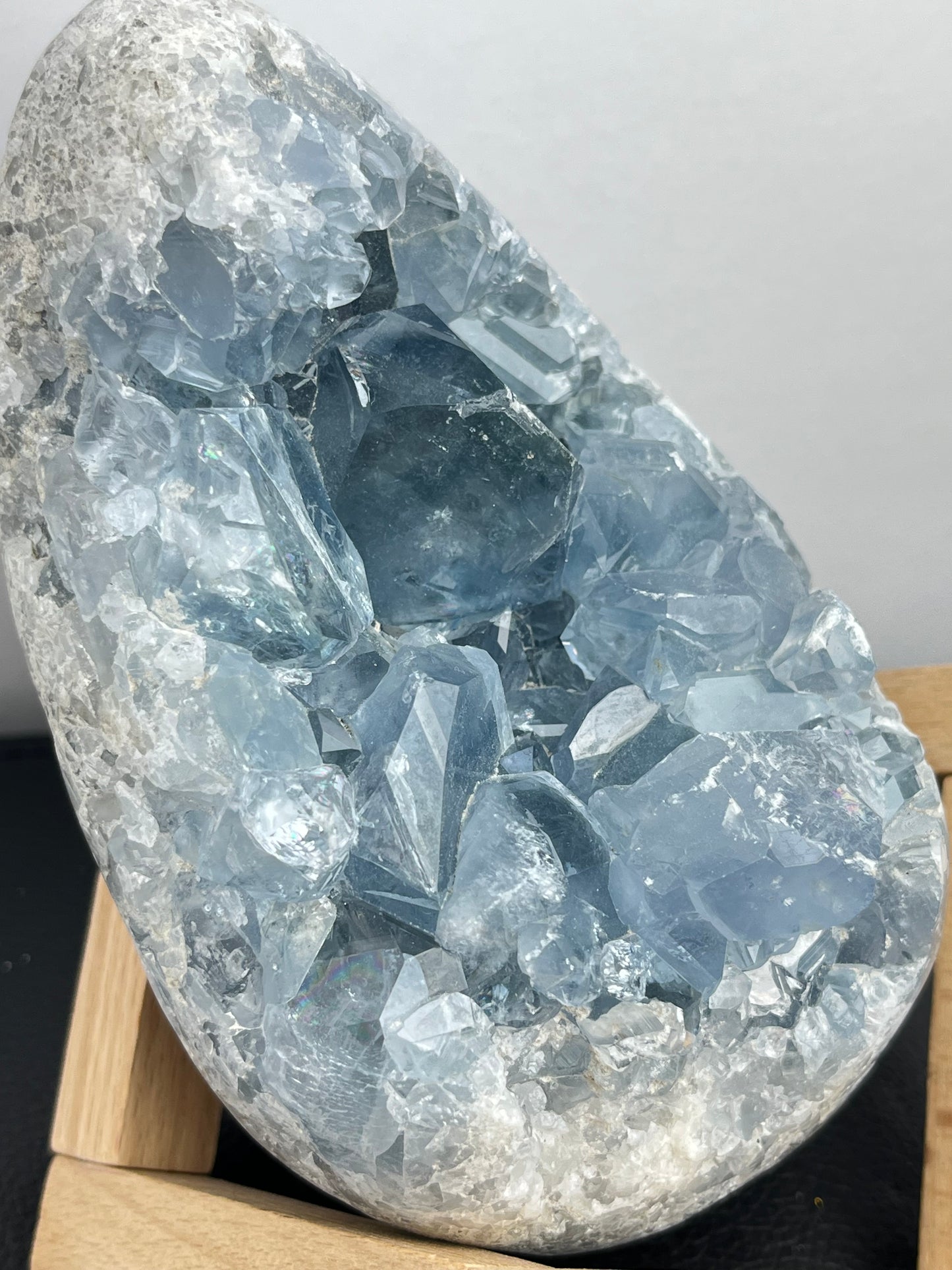 Celestin XL,1.6kg