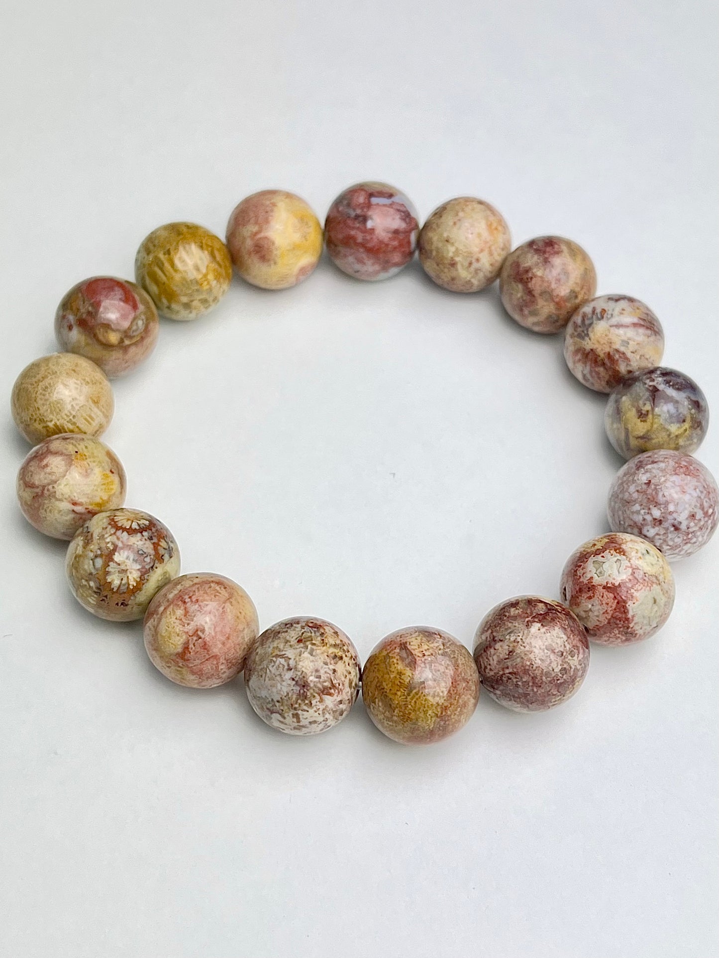 Agatisert Korall armbånd 12mm+