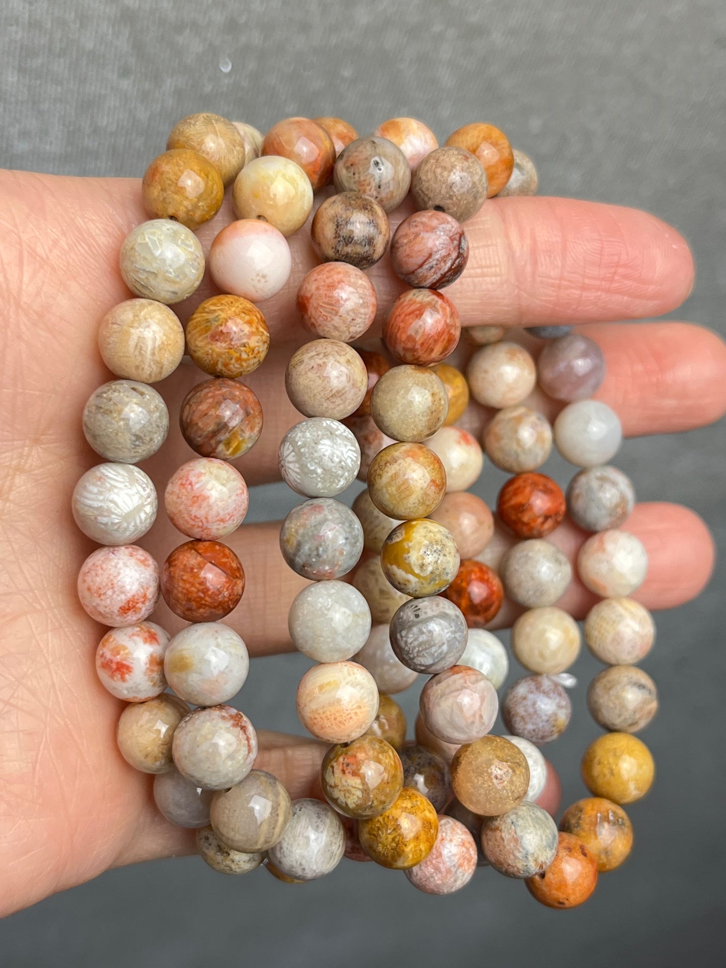 Agatisert Korall armbånd 8mm+