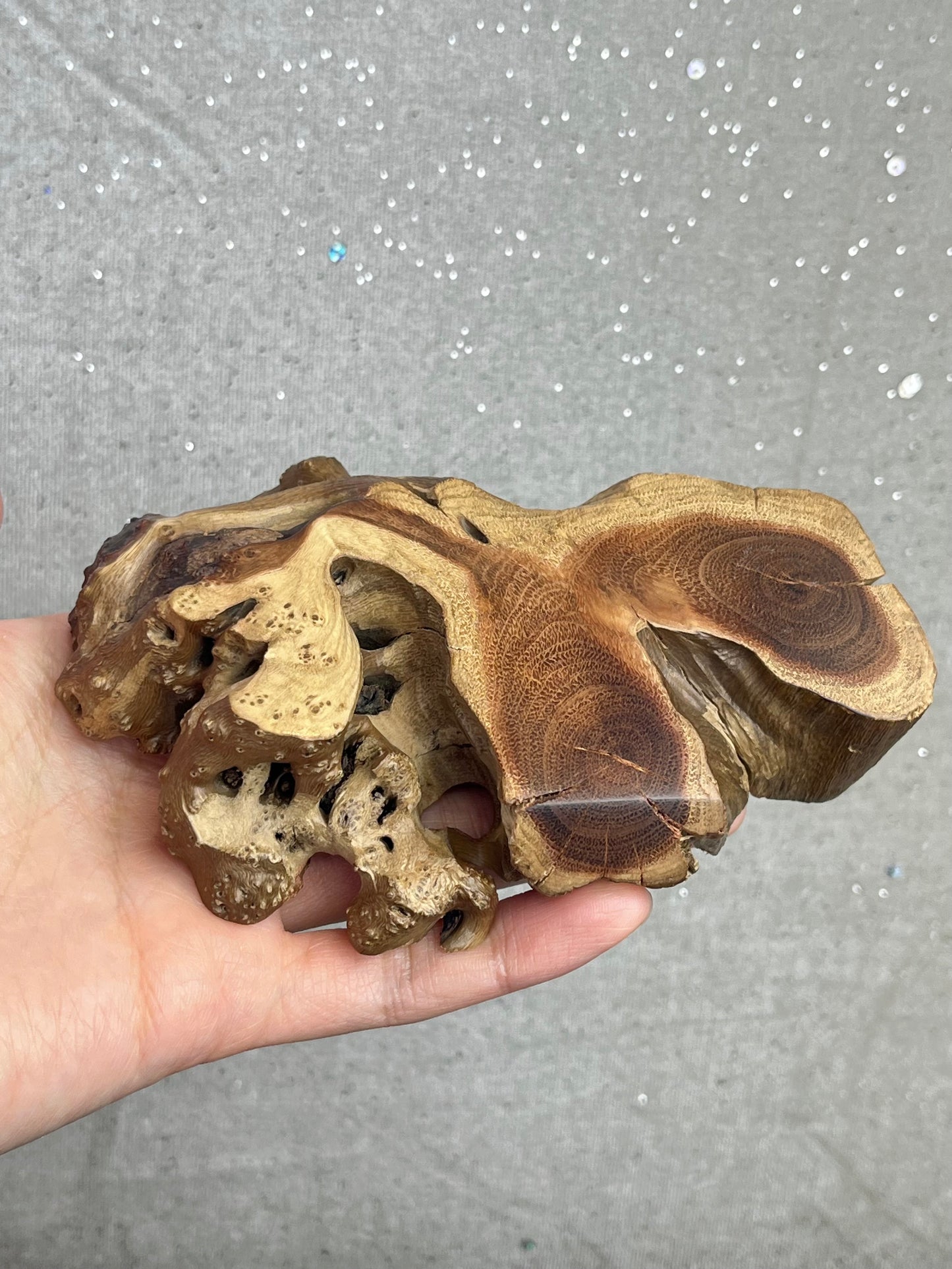 Crystal base in natural wood