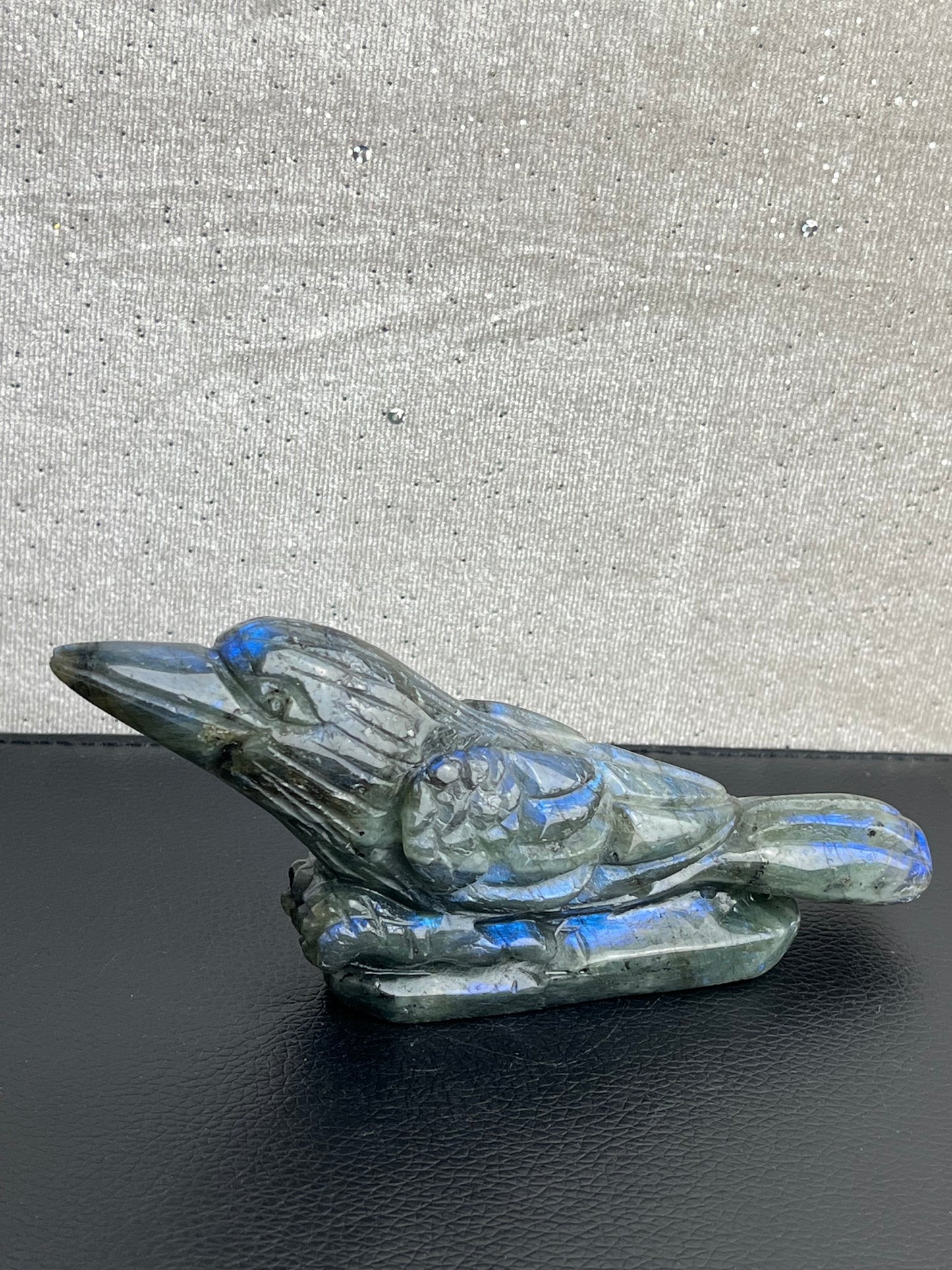 Labradoritt Fugl