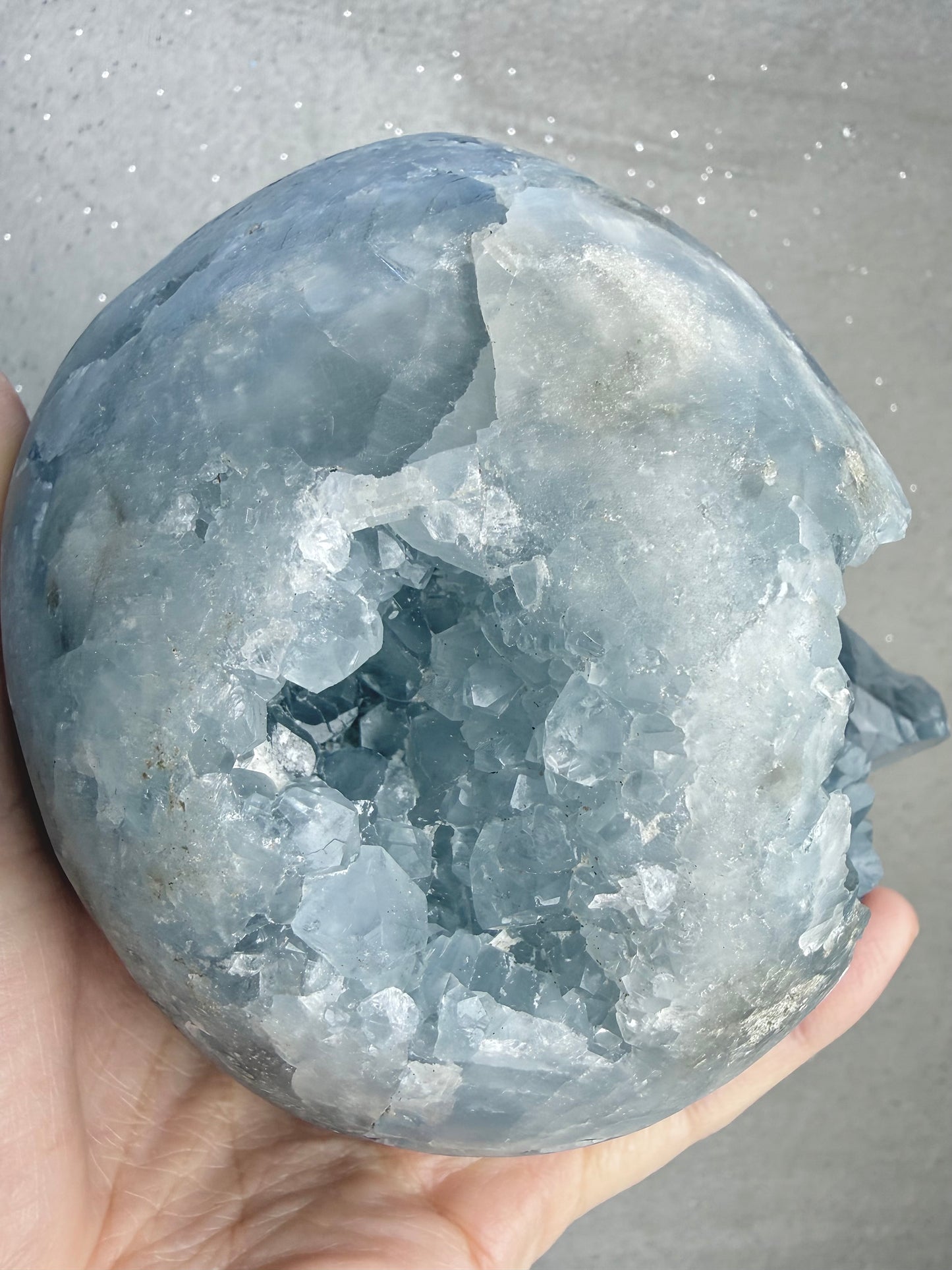 Celestin Egg XL, 2.8kg