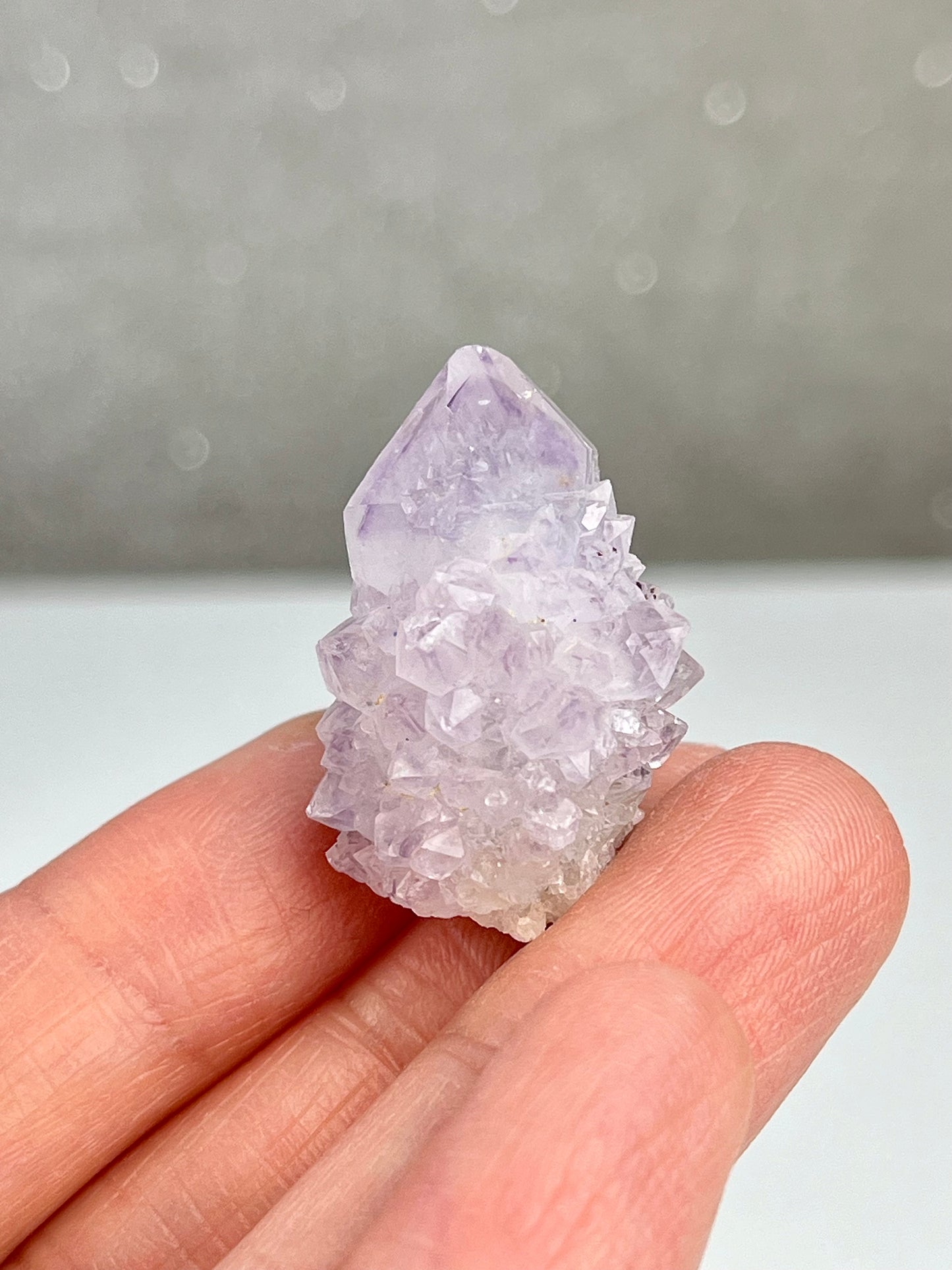 Ametyst kaktuskvarts (spirit quartz)