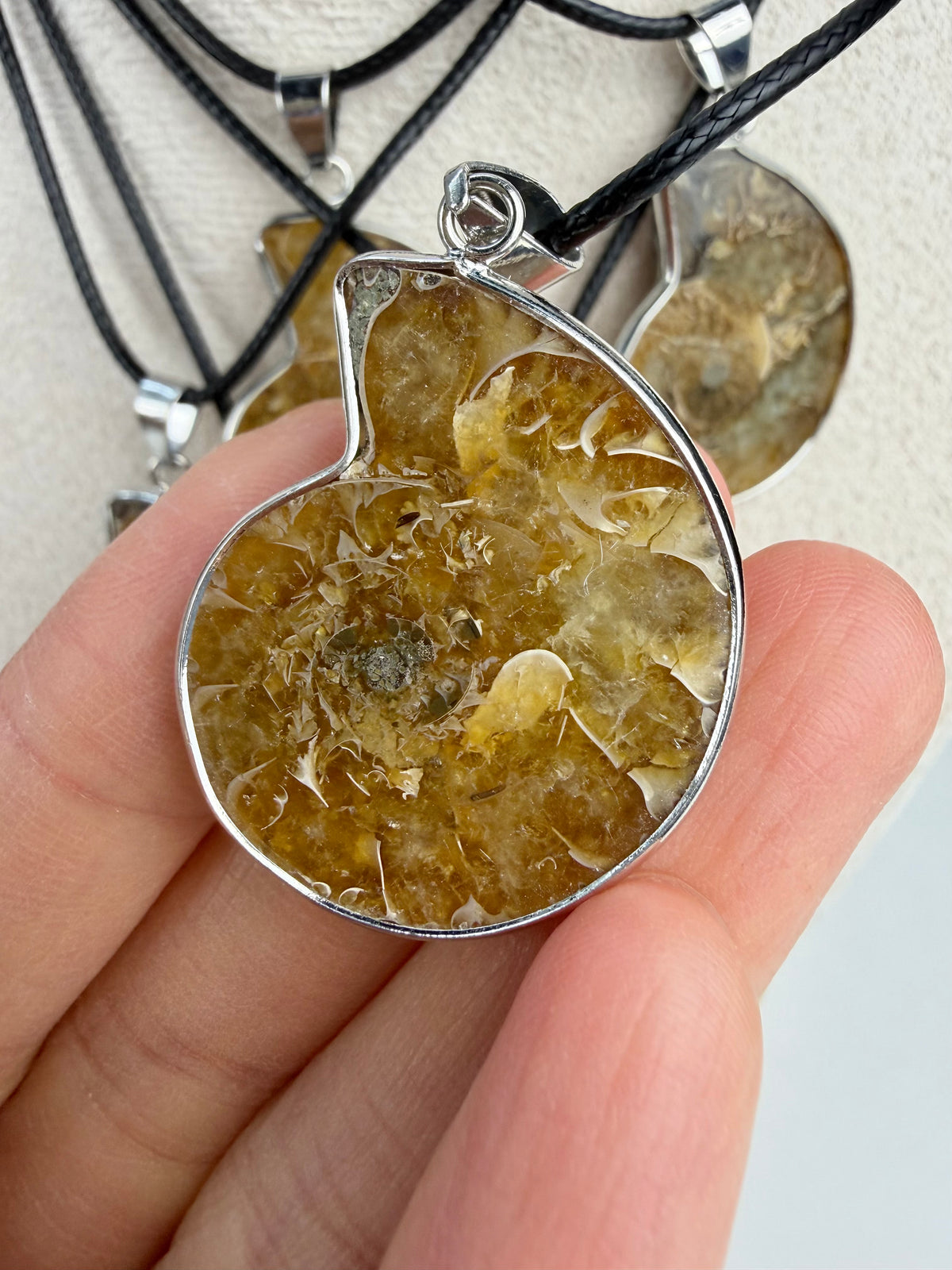 Fossil Ammonitt anheng